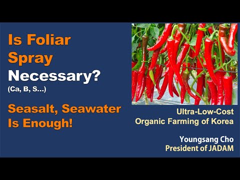 February 2023 JADAM Lecture tour in the USA