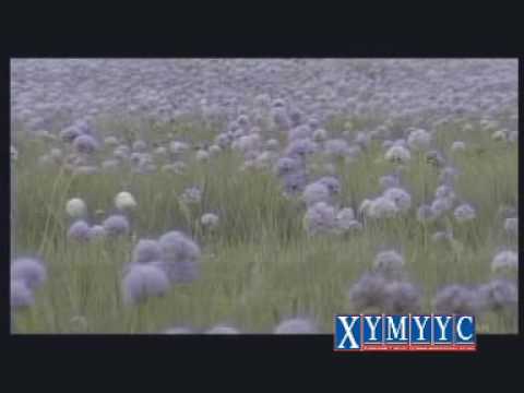 Classic Jem Miniii eh oron