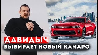 ДАВИДЫЧ ВЫБИРАЕТ НОВЫЙ ШЕВРОЛЕ КАМАРО