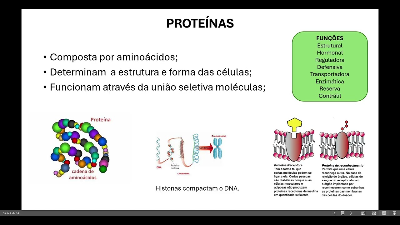 Principais Classes de Moléculas
