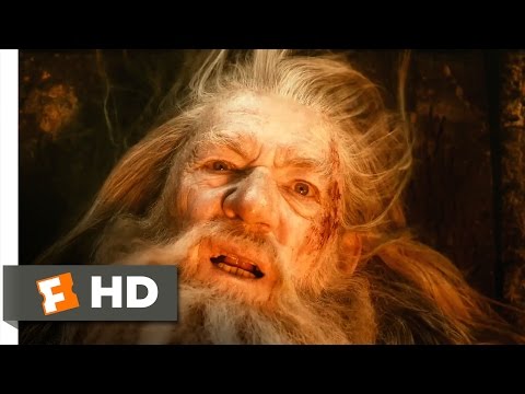 The Hobbit: The Desolation of Smaug - Fighting the Darkness Scene (5/10) | Movieclips