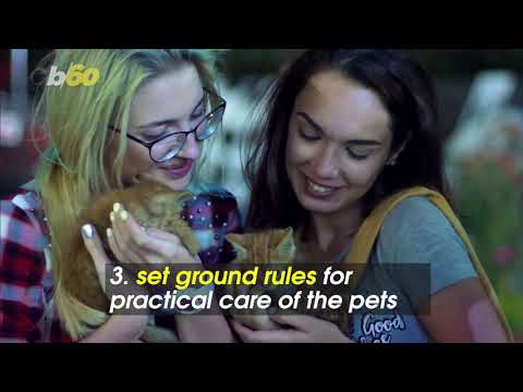 Go Fetch! 5 Ways to Tell if You’re Ready For Multiple Pets