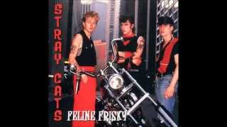 Stray Cats -  Drink That Bottle Down  (live)