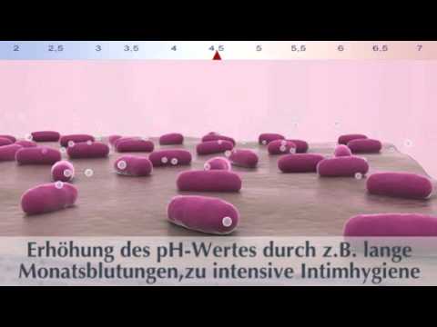Die beste Medizin für chronische Prostatitis Polnische Vorbereitungen von Prostatitis
