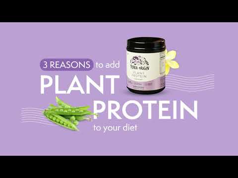 Terra Origin | Clean & Natural Vegan Protein | Plant Protein