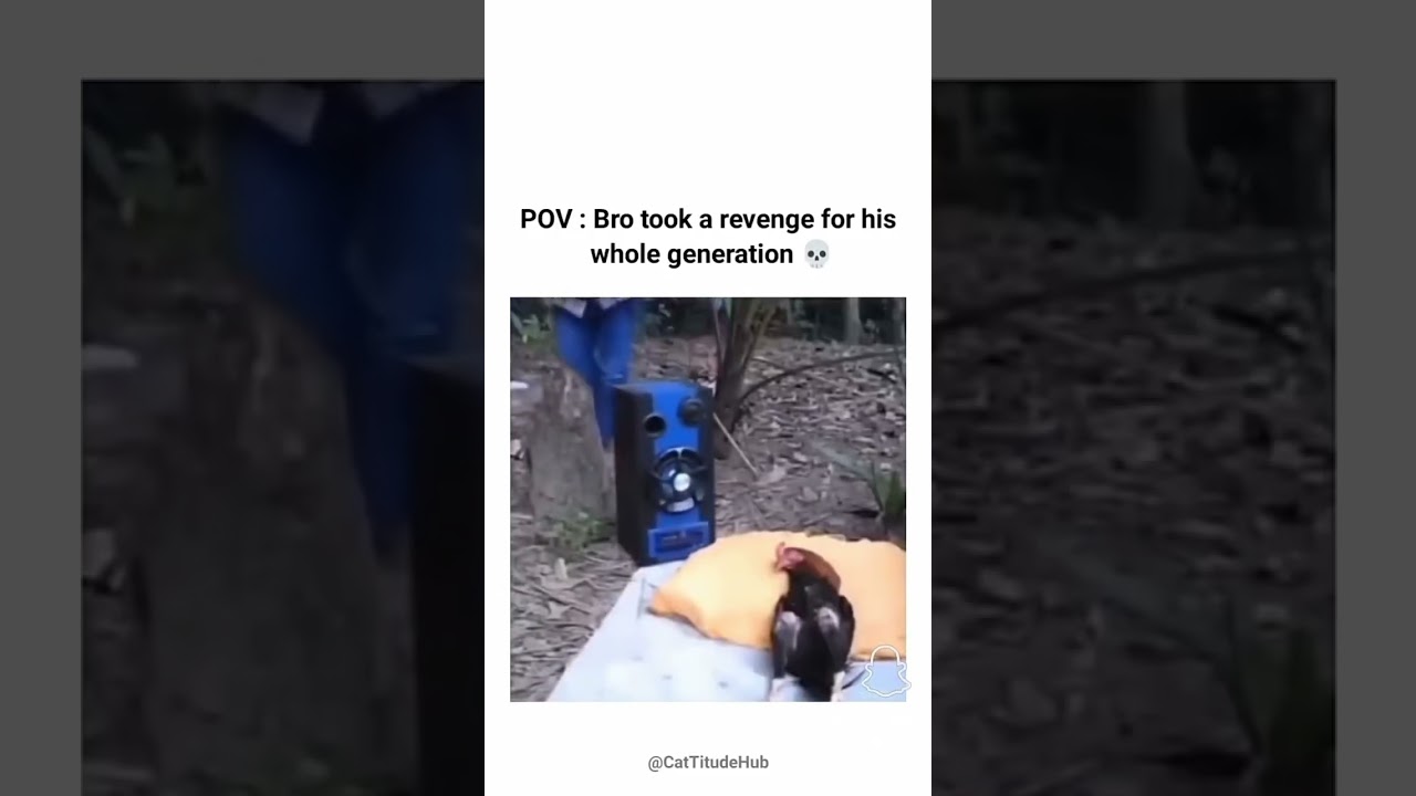 Memes on discord pt30 #shorts #memes #memesdaily