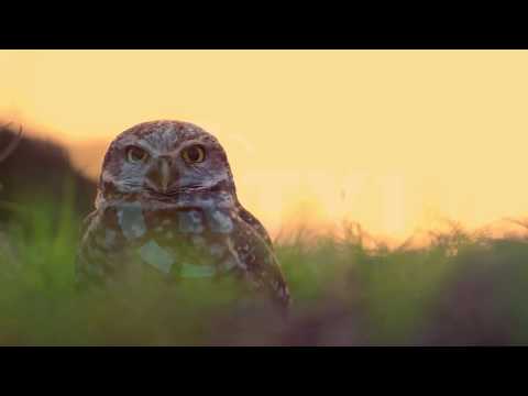 Mos u trishto - Shkaqet e qetësisë shpirtërore 28 pjesa e dytë