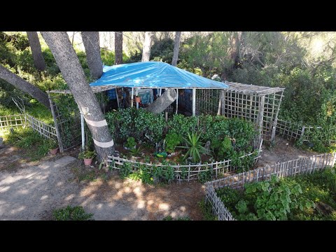 Madonna della Pineta di Giovino - Catanzaro Lido