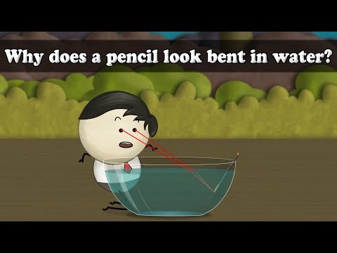 Refraction of Light - Why does a pencil look bent in water? | #aumsum #kids #science
