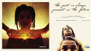 Substantial - The Past Is Always Present In The Future [LP] (Full Album) 2017