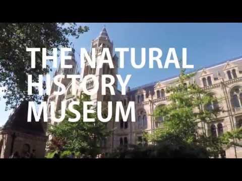 Below 6 Minutes - The Natural History Museum of London