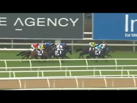 Autumn sun | Randwick