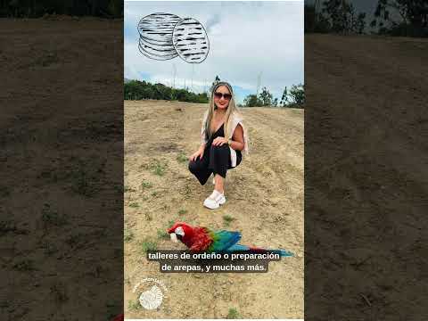 Escapada de Lujo en Boyacá: Más que un Glamping, una Historia por Vivir | Amonitas