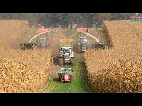 Mais häckseln 2014 mit LU Schröder