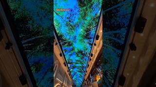 MSC Virtuosa in 50 seconds! 5 day European #cruise highlights #travel #cruiseship