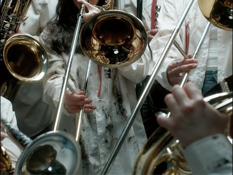 Brassica Rapa and 2 more