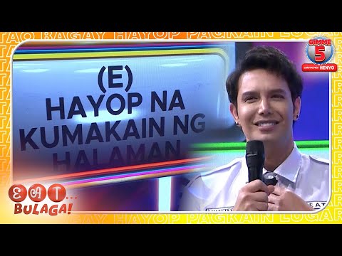 Mga hayop na kumakain ng halaman, anu-ano nga ba? | GIMME 5 | Dec. 19, 2025