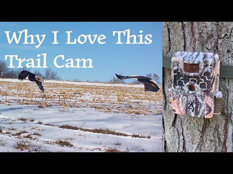 Product Spotlight: Browning’s New Cellular Trail Cameras