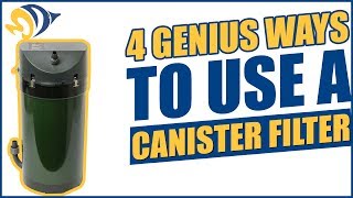 4 Genius Ways to Use a Canister Filter with Your Reef Aquarium