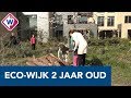 De eco-wijk de Groene Mient in Den Haag bestaat twee jaar - OMROEP WEST