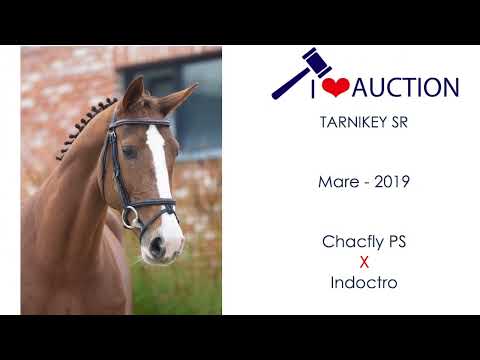 Tarnikey SR jumping