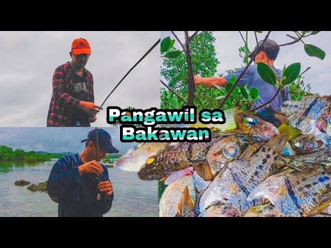 Pangawil sa Bakawan (Fishing, Catch and Cook)