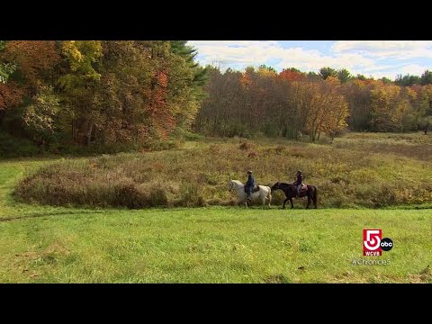 Touring Nicole's hometown of Grafton, Massachusetts, stopping at Ridge Valley Stables and Brea...