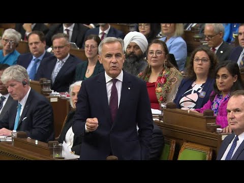 Carney grilled for offering Trump $1 trillion in Canadian investment