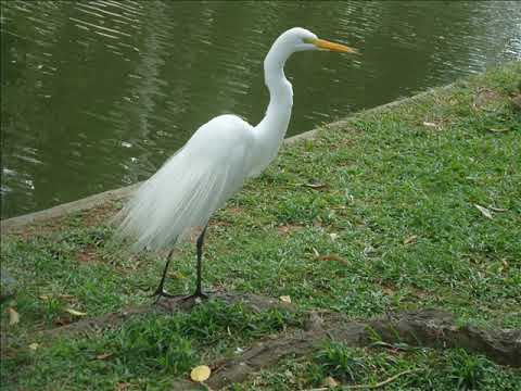 Bem - vindo outubro!... alegria e paz pra vc, pra todos nós! (V/649.2025)