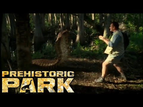The Arthropleura Encounter (Prehistoric Park 2006) Ep 5