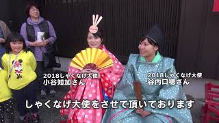 【ココロほっこり日野日和】日野ひなまつり紀行 しゃくなげ大使に会いました