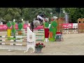 Merrie Franse rijpony PFS Te koop 2019 Donker bruin / bai ,  Carlson