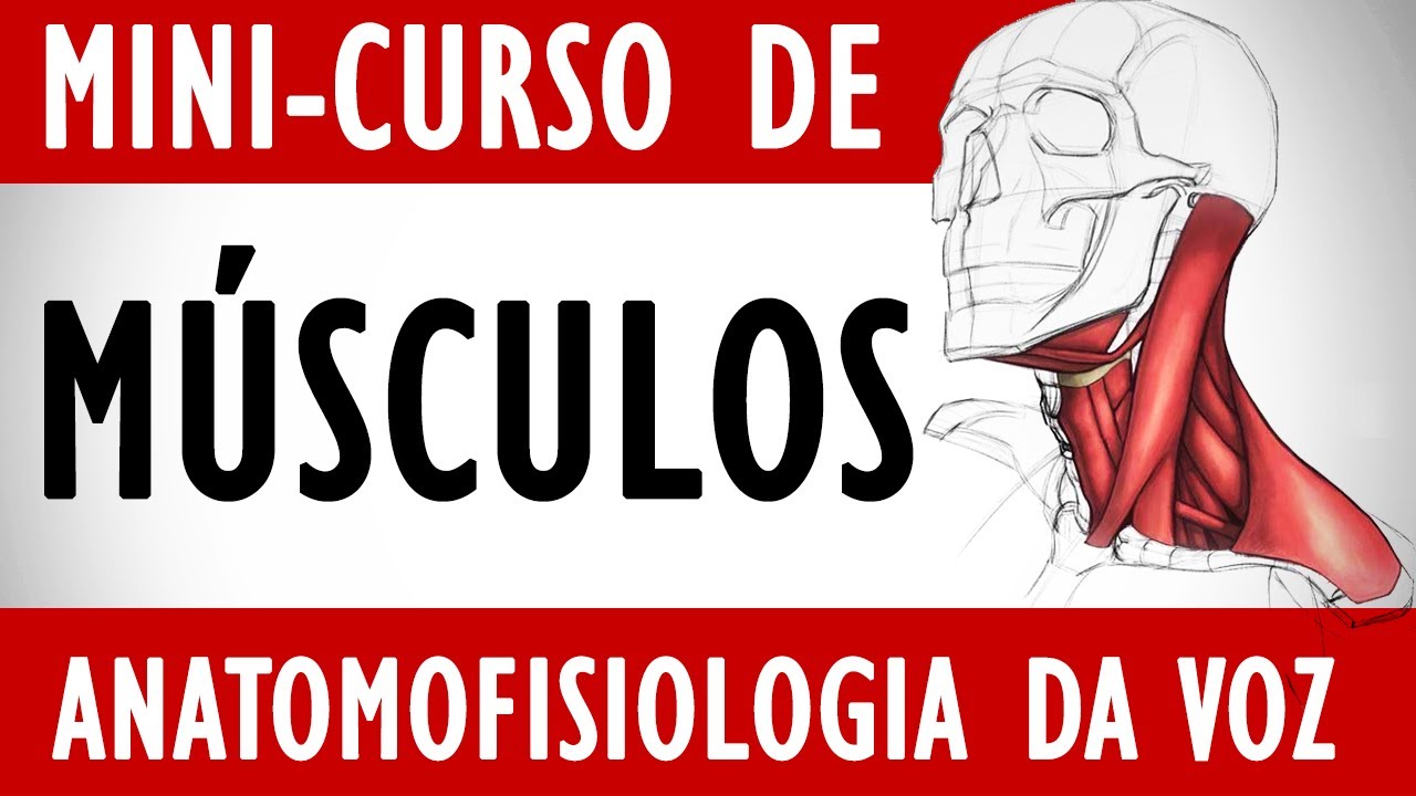 Aprenda quais são os Músculos da Laringe - Voice Lab (Mini-curso de Anatomofisiologia da Voz)