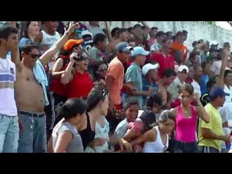 leão do morro de lagoa seca