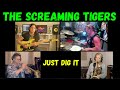 Nili Brosh Featured Artist With The Screaming Tigers Just Dig It