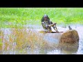 NELEMI MBASANDO MAFURIKO Official Music Video