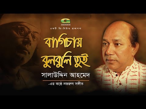 Bagichay Bulbuli Tui | Salauddin Ahmed | Album Chittogeet | Official lyrical Video