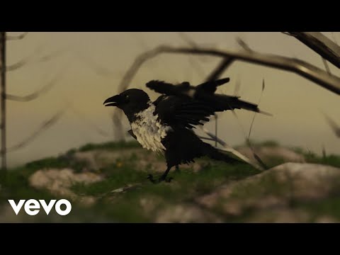 Dylan, Icy Subzero - SENZA ALI (Visual)