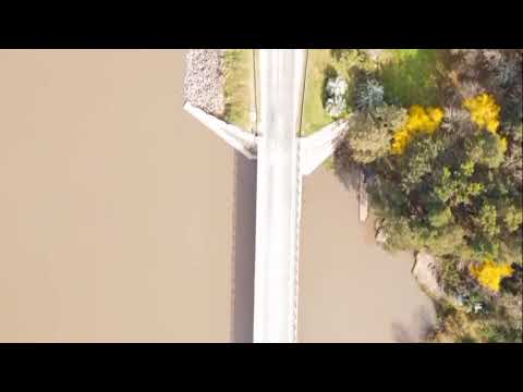 5 de noviembre de 2025