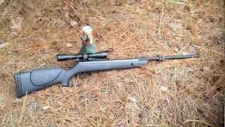Gamo Big Cat Pellet Gun Shooting | HD