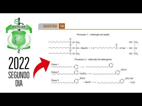 FAMERP 2022 | SECOND DAY | QUESTION 14