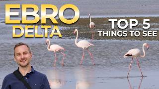 TOP 5 - Ebro Delta, Spain - Things to See and Do 🇪🇸