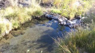 preview picture of video 'Keough Hot Ditch hot springs'
