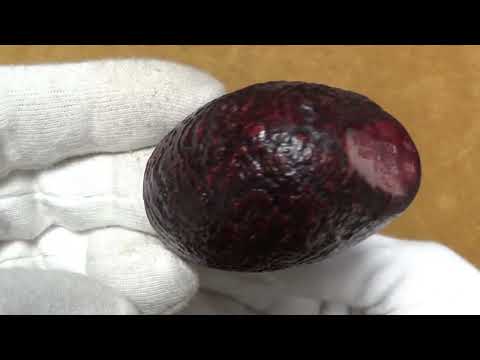 Pipa Savinelli Punto Oro Gold Sabbiata 614 - filtro 6mm