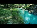 Gentle Stream - No Birds. Relaxing water Sounds. (10 hours) White Noise for sleeping.