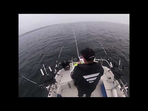 Köderfisch Trolling ist keine Hexerei