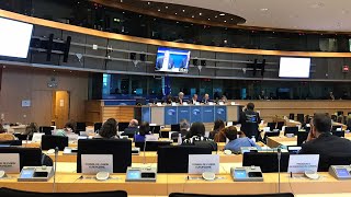 Cedefop Executive Director at the European Parliament Committee on Emp