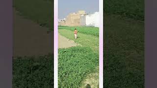 Download lagu aj ham banaege Ghar ka toda hua saag #sotasty #shortvideos #shortsviral #subscribe mp3 Download lagu aj ham banaege Ghar ka toda hua saag #sotasty #shortvideos #shortsviral #subscribe mp3