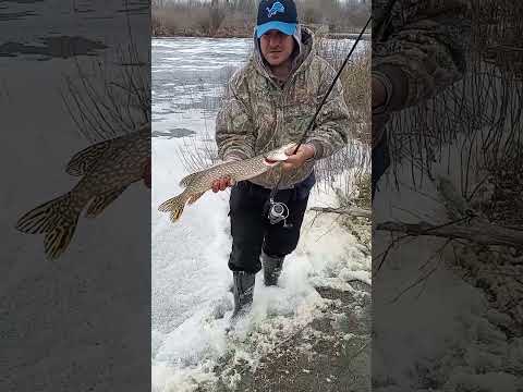 Lure Fishing ?
