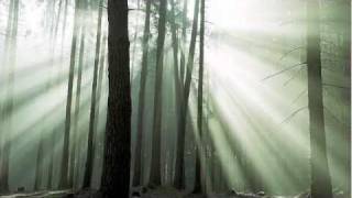 " The Best Never Fail " - Einstein, Geo, Substantial, Brother Ali, Tonedeff